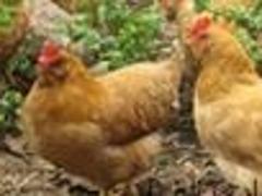 ̩ʵĺ?ֱרҵĺ 
ؼ: