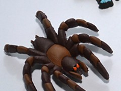 轺ֻǮΡŻݵĹ轺ֻӦ 
ؼ: