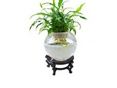 ˮ໨ܼ ˮ໨ܼ 
ؼ: