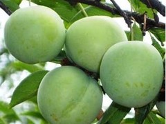 Żݵ ӦŻݵ 
ؼ: