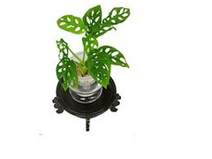 רעˮ໨õˮ໨г۸ 
ؼ: