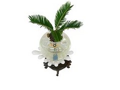 пڱˮ໨ܼ|ˮ໨ܼר 
ؼ: