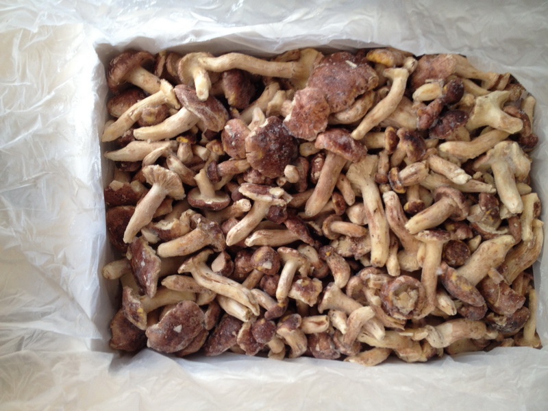 ��λ��������˾��۸�_�����õ���˾����� 
�ؼ���: