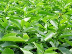 硪ʵ磬͵кӳ 
ؼ: