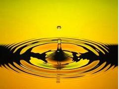 ų޹˾õ䶳|Żݵ䶳 
ؼ: