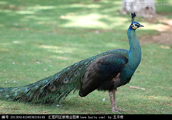 ��ȸ�۸�,ԧ��۸�,ɽ��Ұ���۸����ʵ�������� 
�ؼ���: