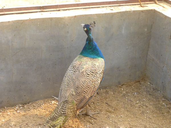 ��ȸ����,��ȸ�۸����רҵ�ṩ�� 
�ؼ���: