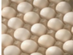ũҵƷ۸ ӦõũҵƷ۸ 
ؼ: