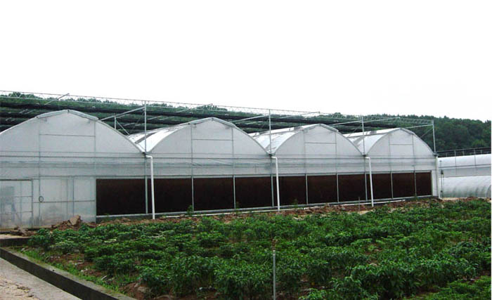 Ҵｨ졾չҴｨ衿Ҵｨ 
ؼ: