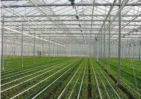 ȥҿ׵չҴｨ裺λչҴｨ 
ؼ: