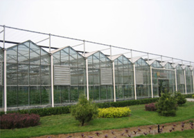 ɽҴｨļã챱Ҵ 
ؼ: