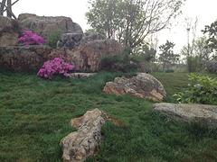 2015ڡβ԰衿˾ϢƼ̫С 
ؼ: