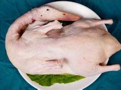 ΫаѼӦѼϢ 
ؼ: