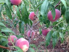 �����ޡ��л�һ������@���л��������硿��������Ӧ���۸� 
�ؼ���: