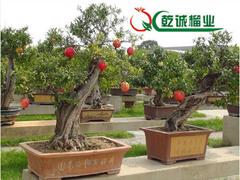 ʯ辰|ۺʯ辰 
ؼ: