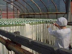 6-8ưʳϸưϸư 
ؼ: