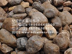 кʯƷƺõĺʯ 
ؼ: