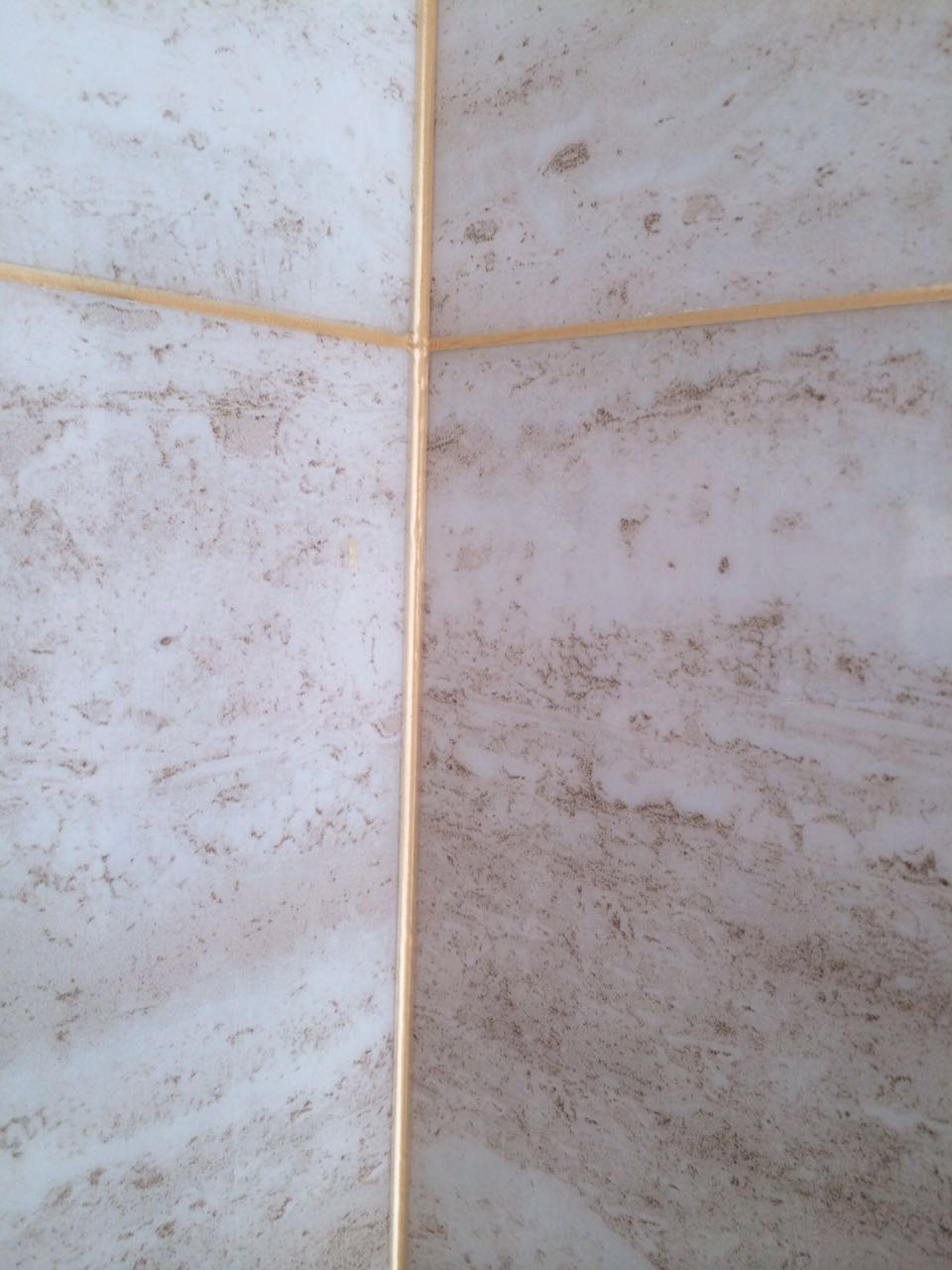 ɽɱ߼ŵĴɱ߼˾ 
ؼ: