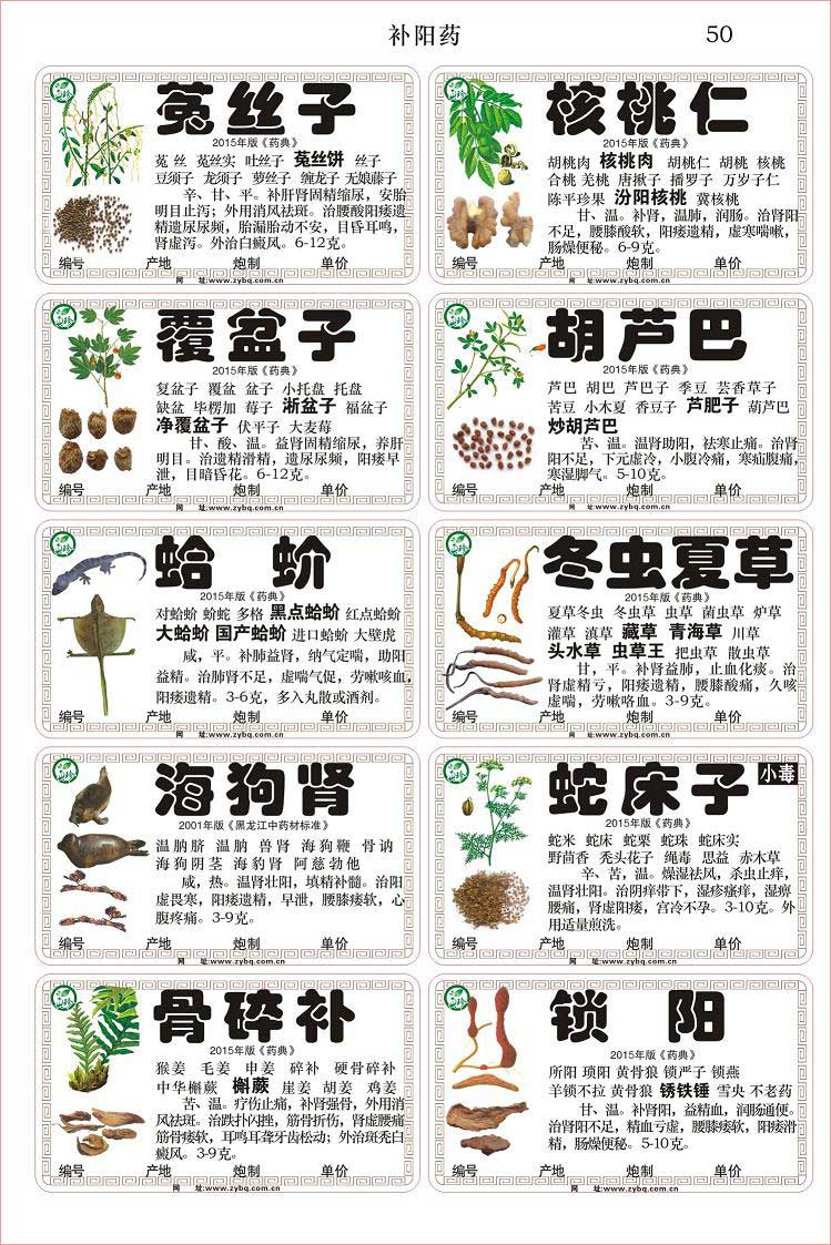 빺Żݵ2015ĤױǩѡСزƷ2015Ĥҩ淶ҩǩ 
ؼ: