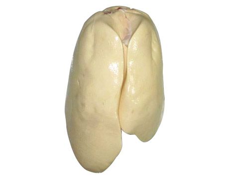 õĶξ̣ж 
ؼ:
