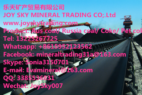 Surface Russia Coal supplier/Russia coal trading 
ؼ: