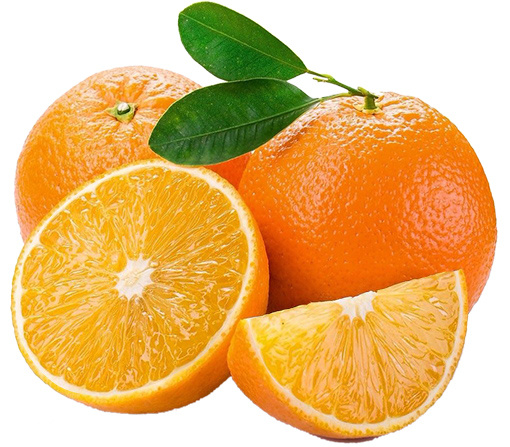 ȼ۸|νʵҵͶ޹˾Ӧڱõĸ 
ؼ: