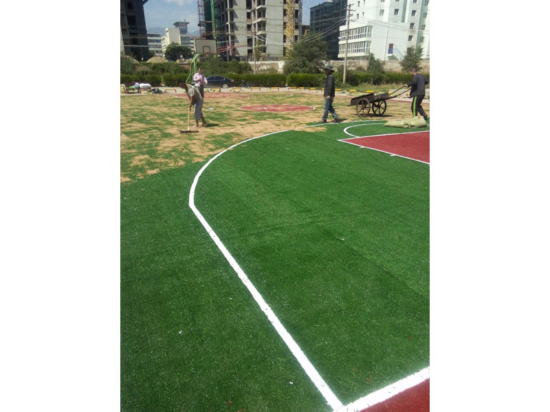 ܽ_ӦƷһ 
ؼ: