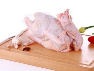 ͲõƼӦ_ʳרƼ 
ؼ:
