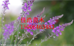 ۸Żݵ޹²Ϋ_޹² 
ؼ: