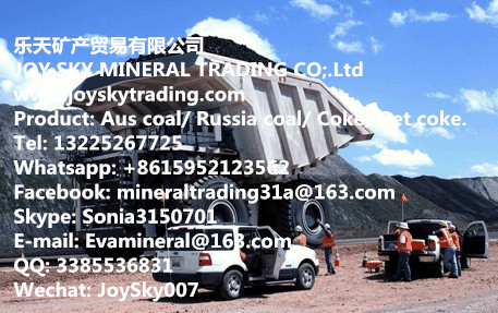 Russia coal/Steam coal supplier/Aus steam coal tra 
ؼ: