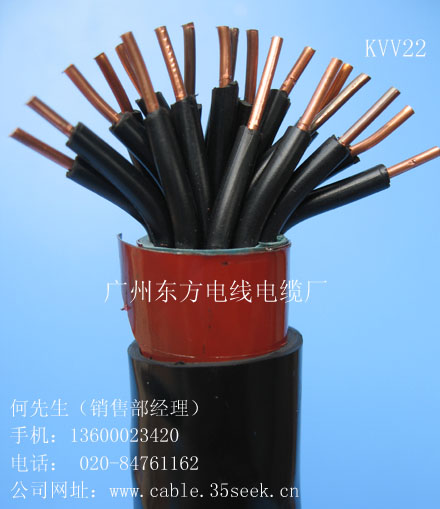 Ƶ 
ؼ:2010-02-05