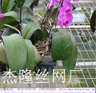 �����紲�� 
�ؼ���:2020-02-24