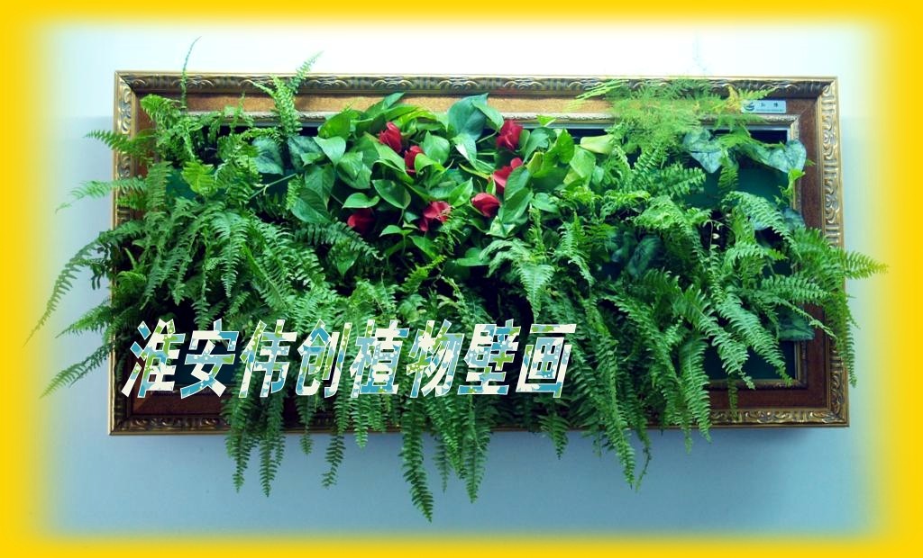 ֲڻ滨ǽϳ 
ؼ: