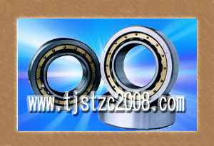 SKFNU330ECM/C3Բ 
ؼ:2010-03-19